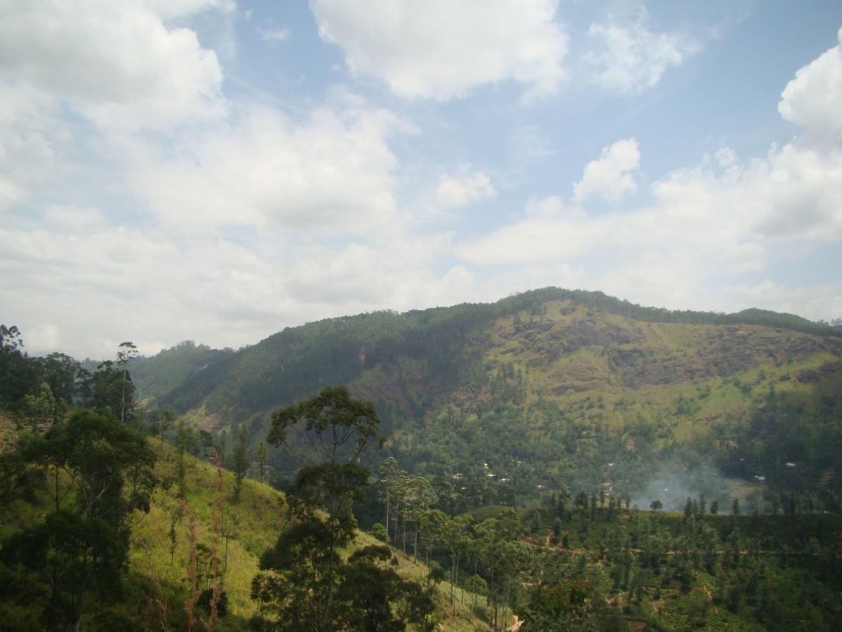 Ella Hotel Upper Hill Exterior foto
